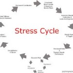 Leren omgaan met stress!
