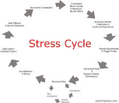Leren omgaan met stress!